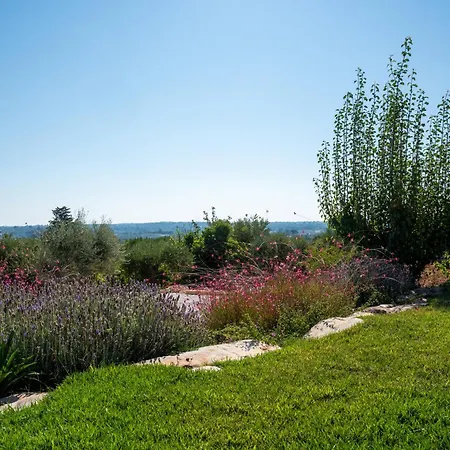 Villa Palacharme - Trulli Luxury Alberobello